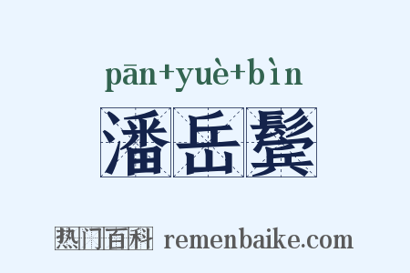 潘岳鬓是什么意思的图片